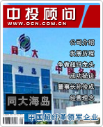 同大海島：中國超纖革領(lǐng)軍企業(yè)