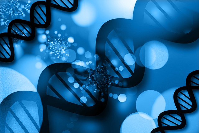 Ͷ(wn)^(gun)c(din)| 2024-2028Ї(gu)a(chn)I(y)Ј(chng)Ҏ(gu)ģA(y)y(c)
