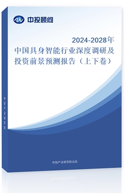 2024-2028ЇИI(y){мͶYǰAy棨¾